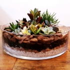 Vaso Cilindro para Terr&aacute;rio de suculentas, Centro de Mesa Vela Flutuantes